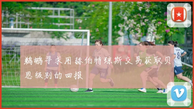 鹈鹕寻求用赫伯特琼斯交易获取贝恩级别的回报